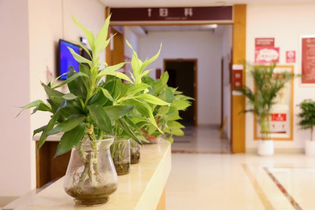 上虞妇科医院,盆底肌筛查,上虞第三医院